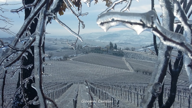 Alta Val Tidone (Pc). Foto di Giovanni Cavallini
