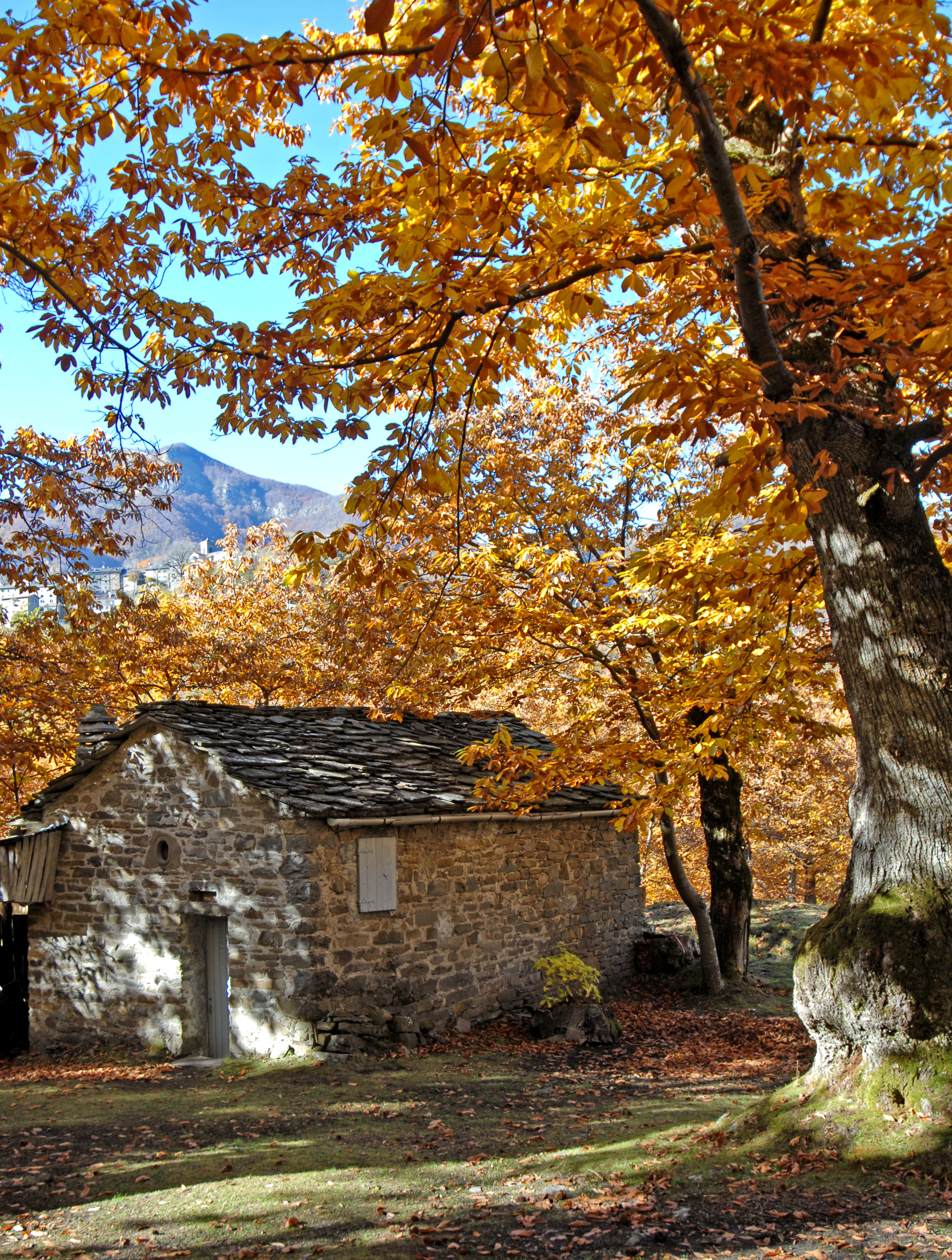 Alta Reno Terme (Bo). Porretta Terme, Tresana, Molino della Scaglia
