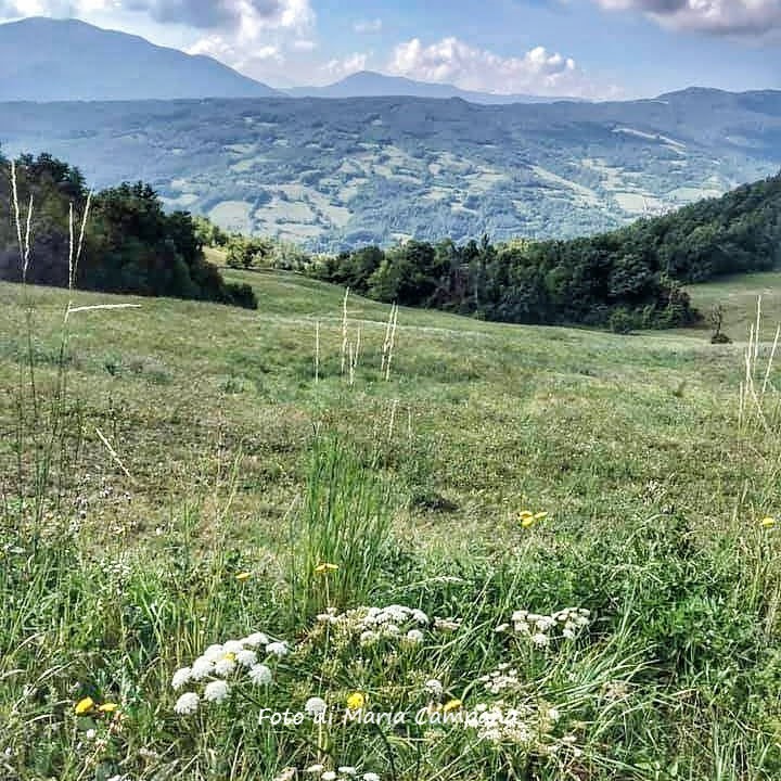Bore (Pr). Località Bellaria. Foto di Maria Campana