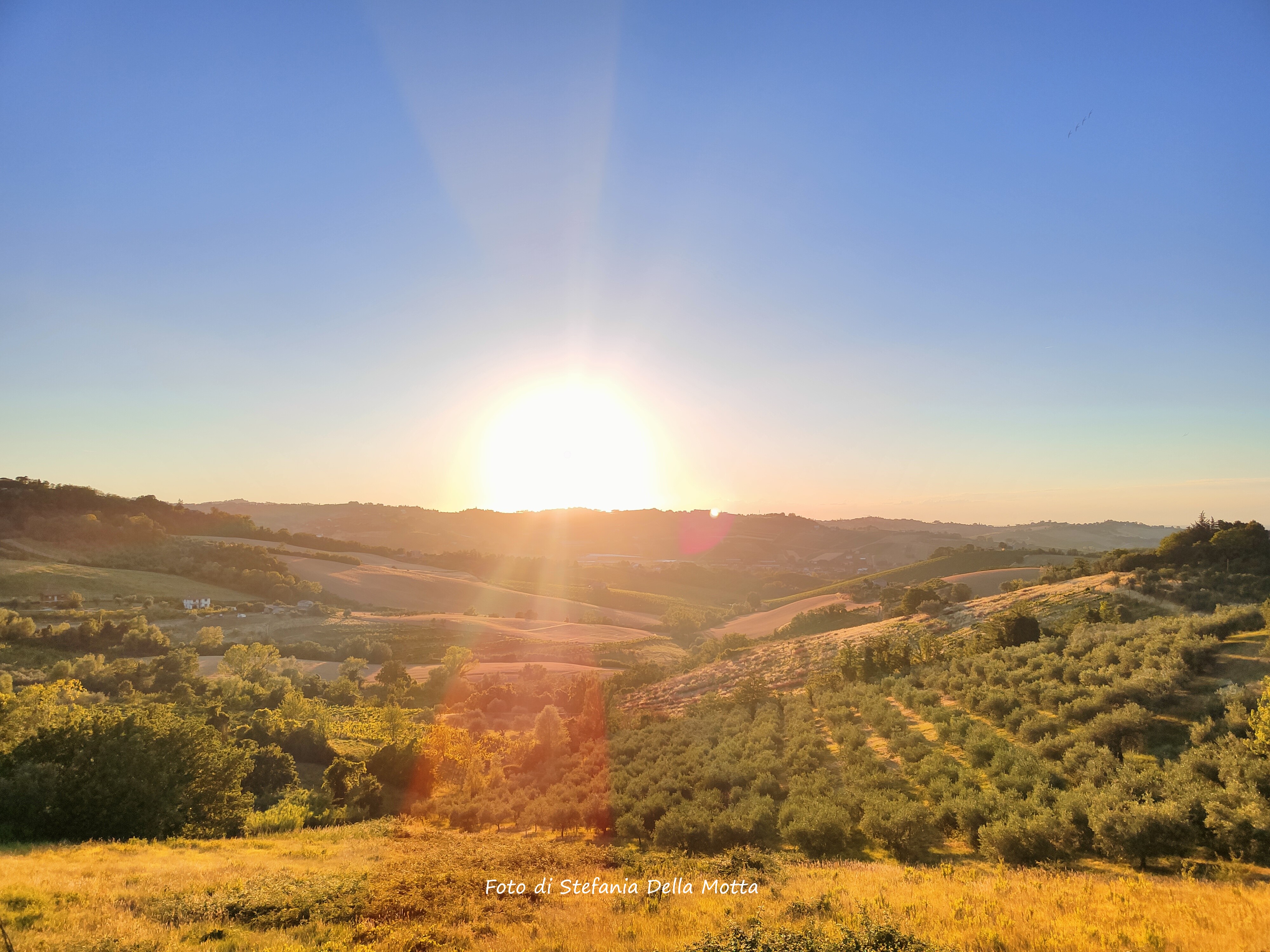Borghi (Fc): panorama. Foto di Stefania Della Motta