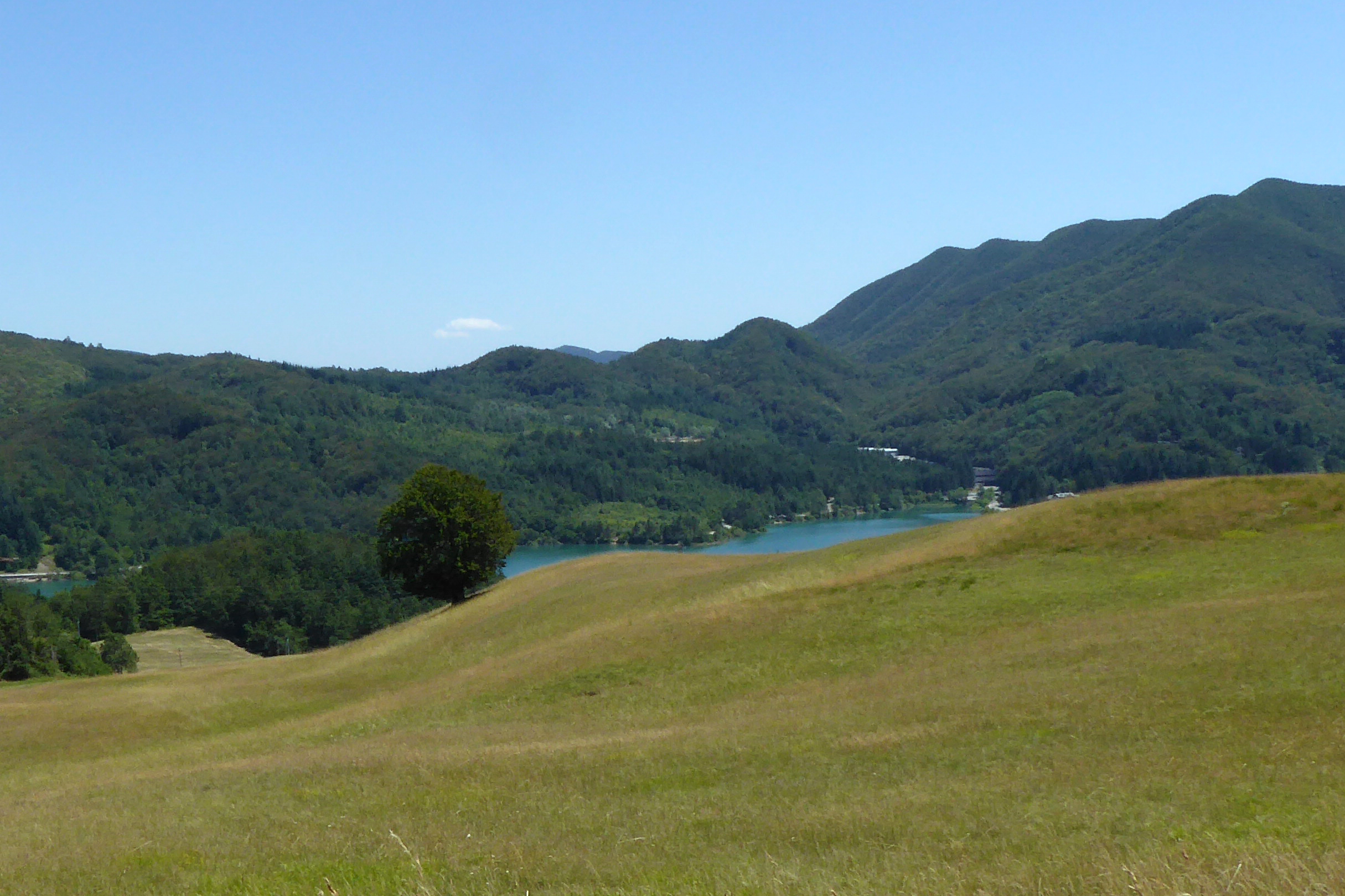 Camugnano (Bo). Località Poranceto – Baigno - Parco Regionale dei Laghi di Suviana e Brasimone