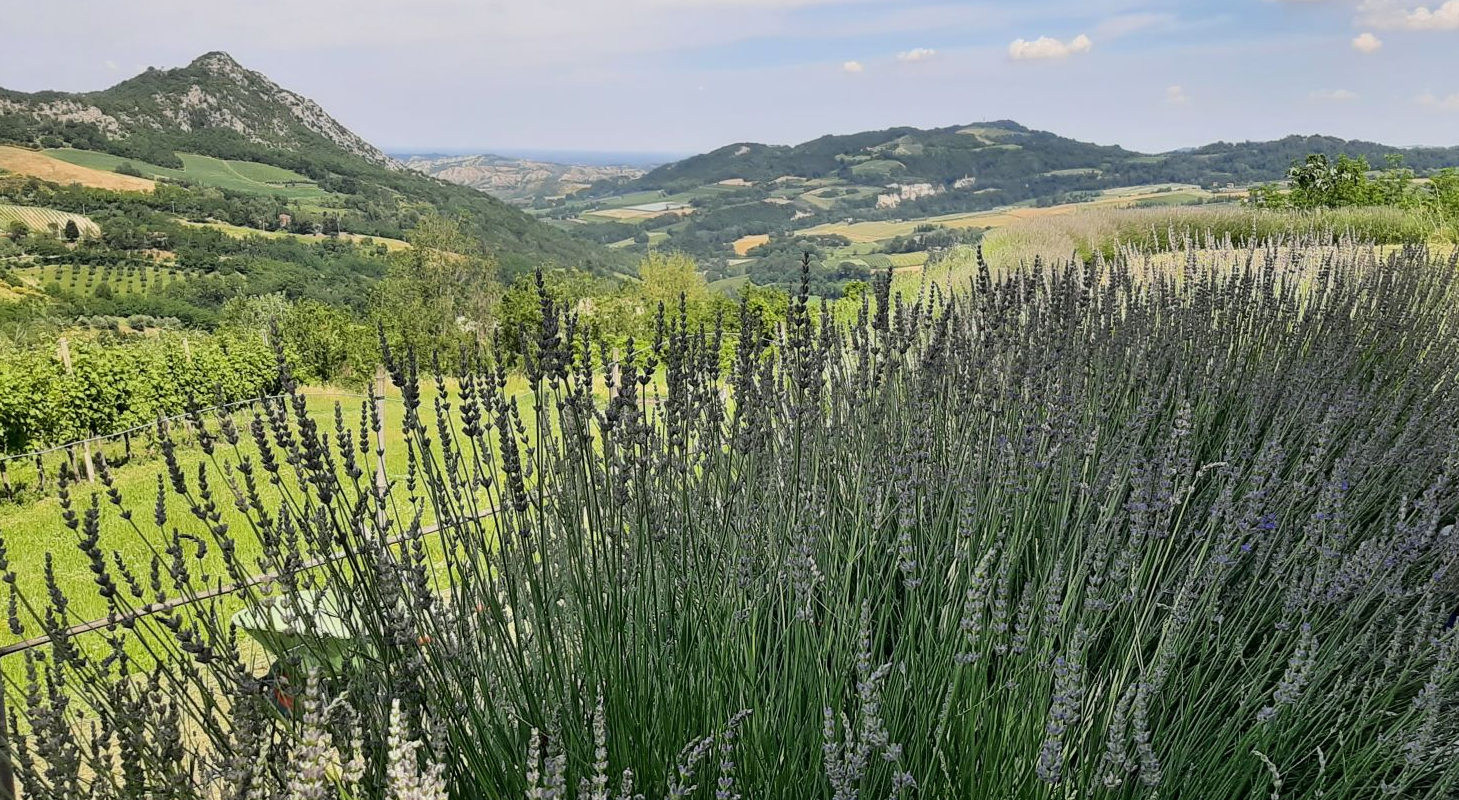 Casola Valsenio (Ra). Veduta sulla Vena del Gesso Romagnola. Foto di Giorgio Sagrini