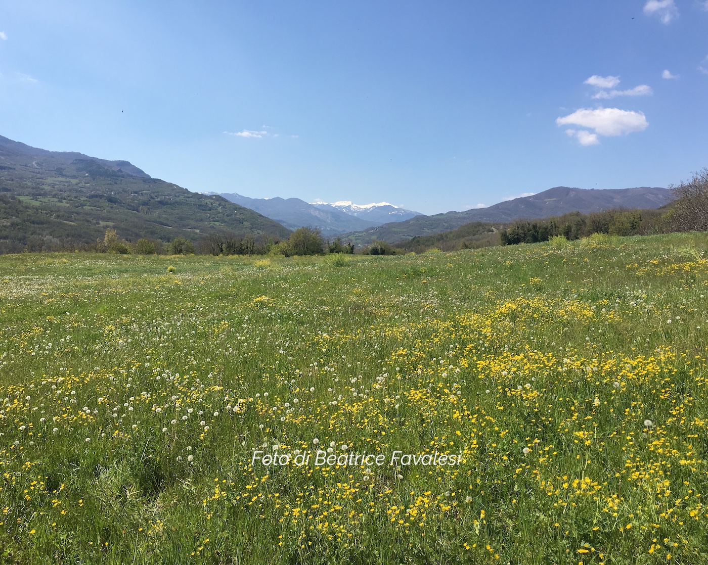 Foto da Beduzzo, frazione di Corniglio (Pr)