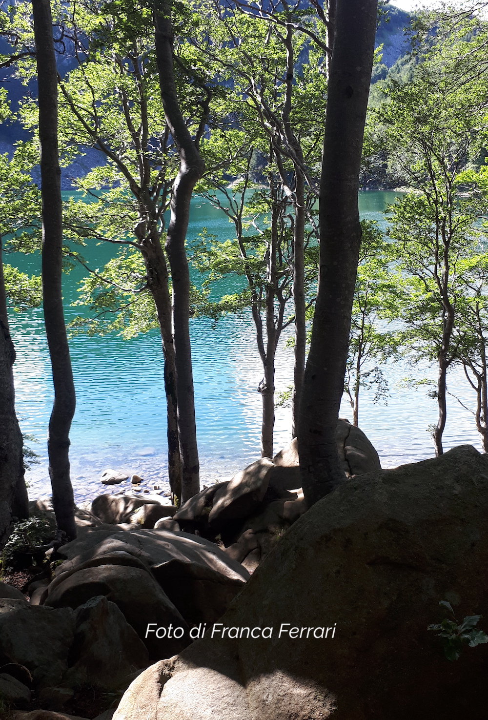Bosco di Corniglio (Pr)
