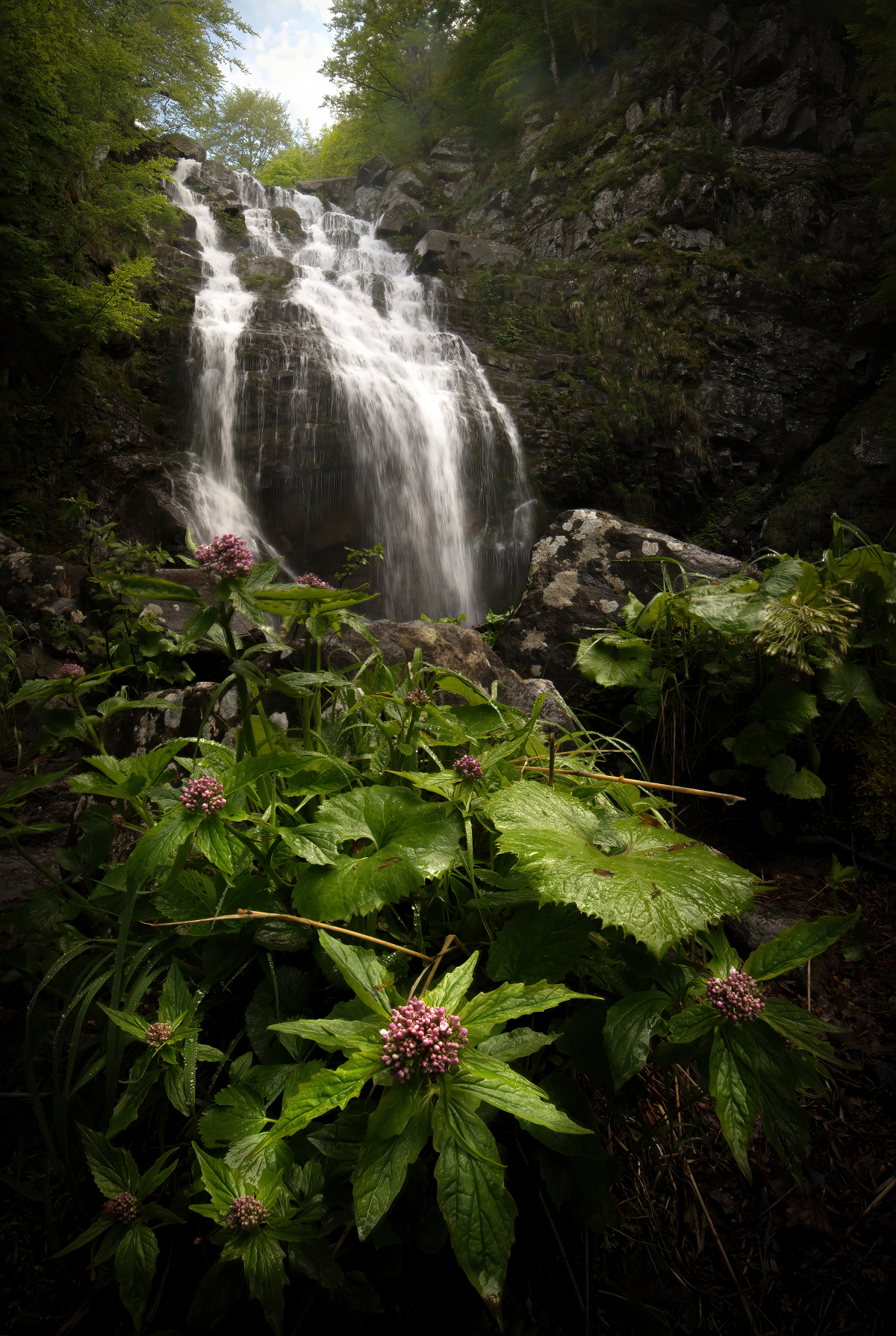 Lizzano in Belvedere (Bo). Cascate del Dardagna. Foto di Gabriele Benassati
