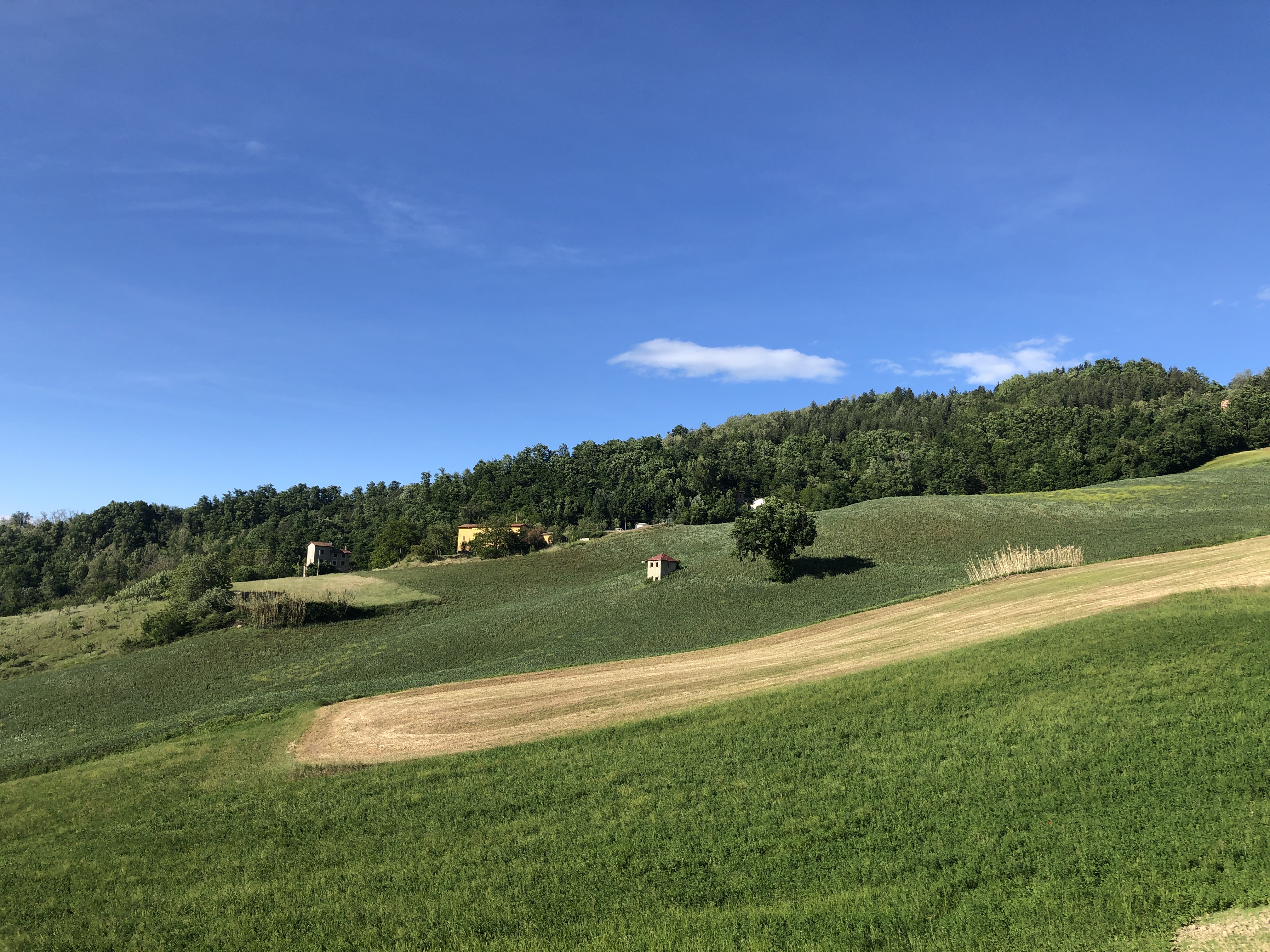 Loiano (Bo). Valle Savena
