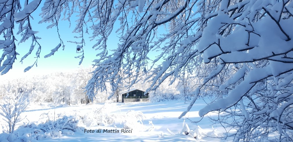 Monchio delle Corti (Pr). Località "Trafoiedo di Trefiumi". Foto di Mattia Ricci