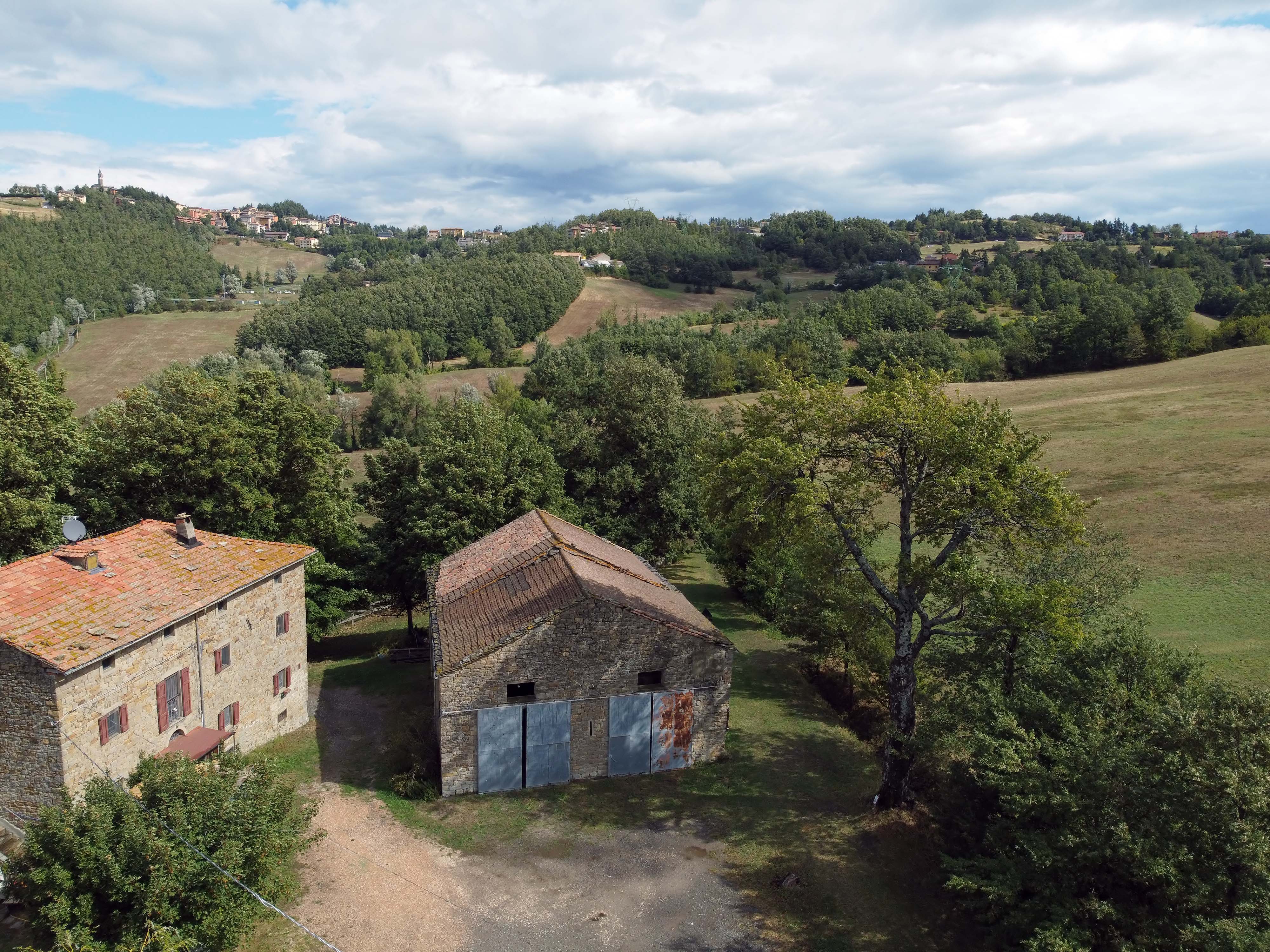 Monghidoro (Bo). Piamaggioli, veduta aerea del vetusto ciliegio di Piamaggioli - Ciliegio (Prunus avium), albero monumentale, secolare