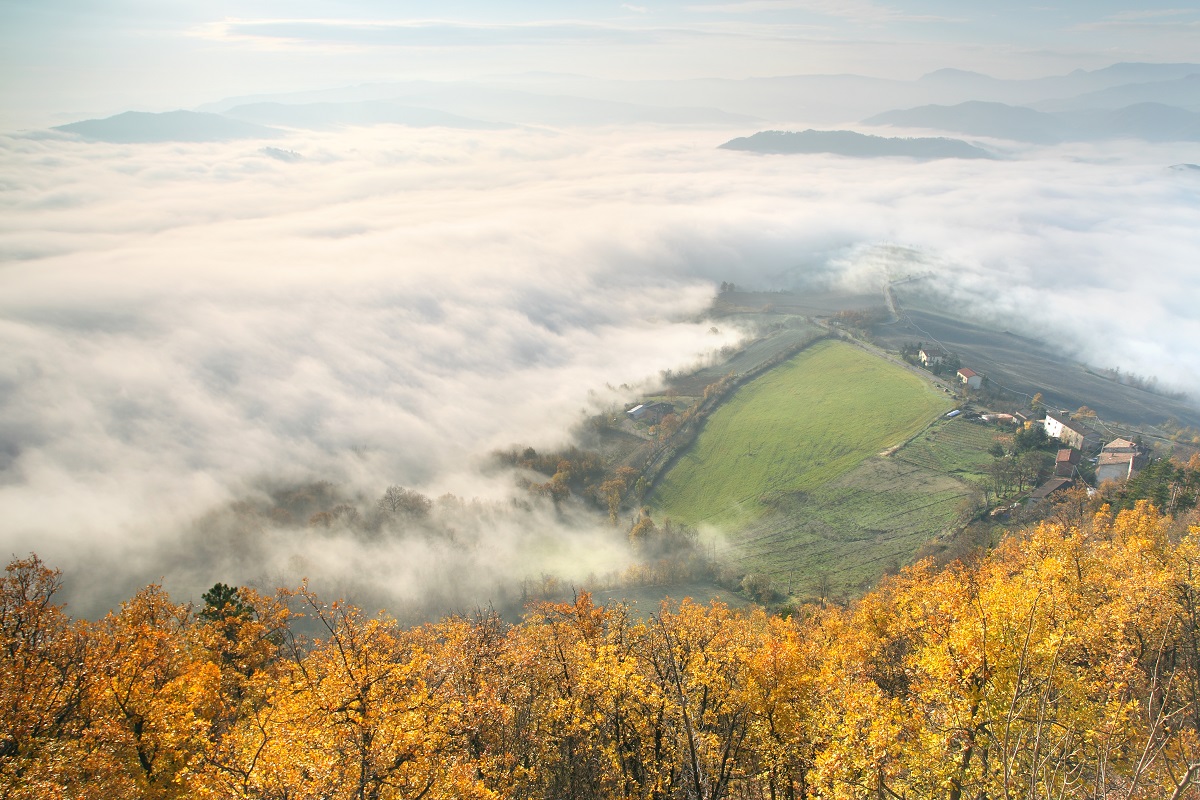 Monterenzio (Bo). Monte delle Formiche