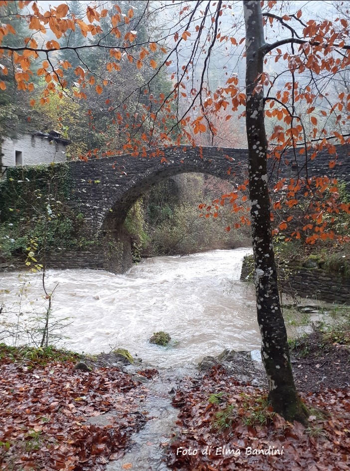 Premilcuore (Fc): ponte del Gorgolaio. Foto di Elma Bandini