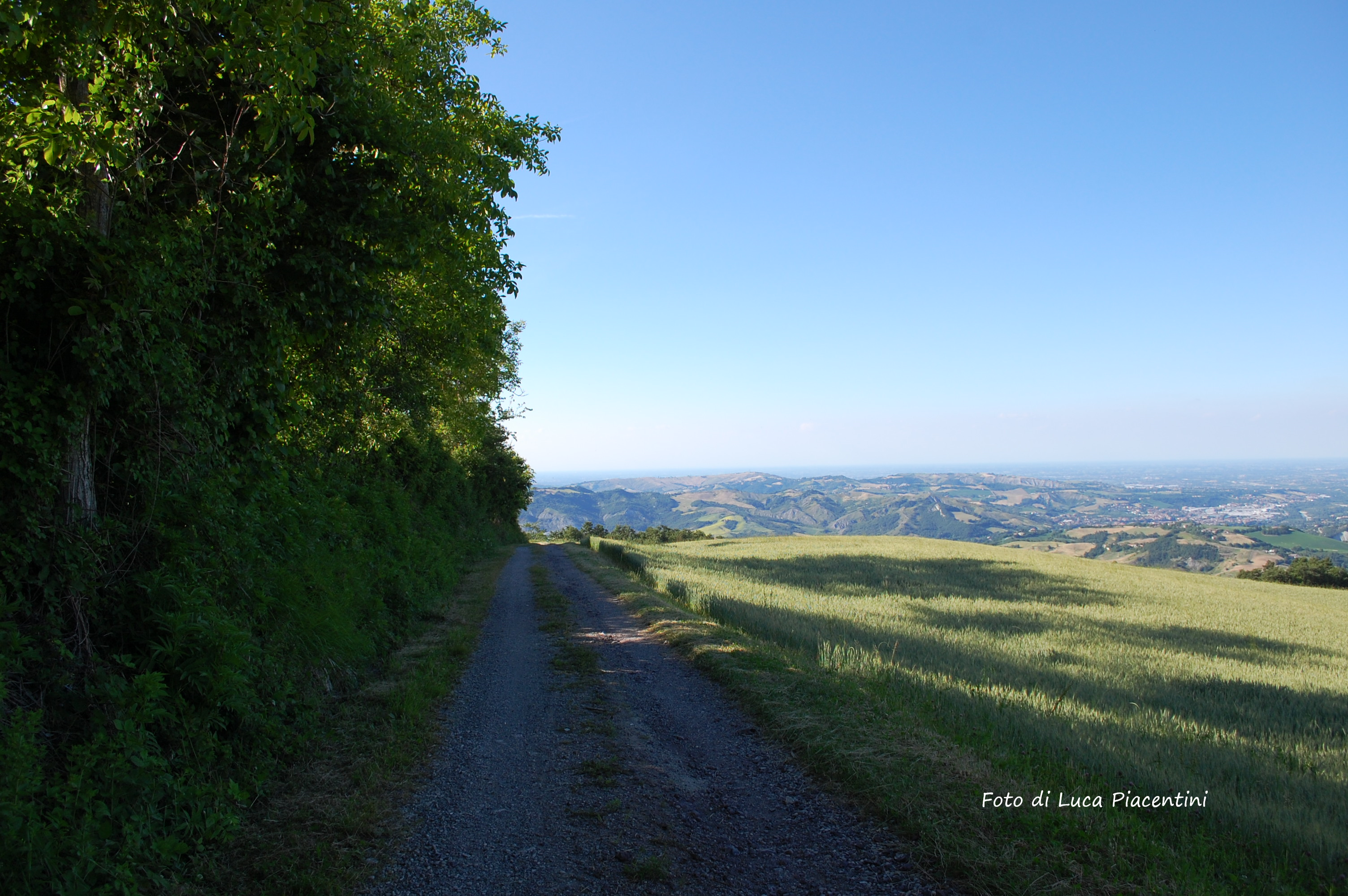 Prignano sulla Secchia (Mo). Foto di Luca Piacentini