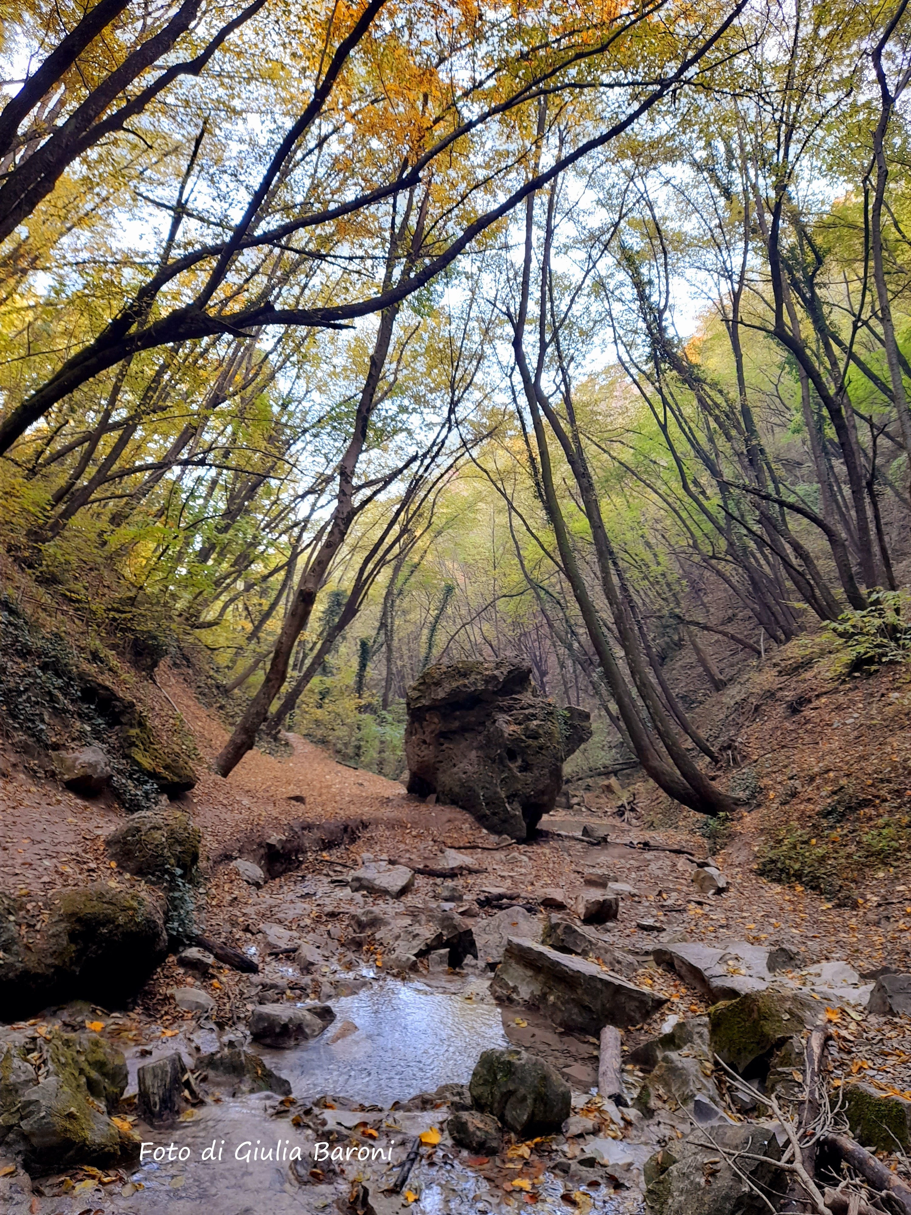 Serramazzoni (Mo). Cascate del Bucamante. Foto di Giulia Baroni