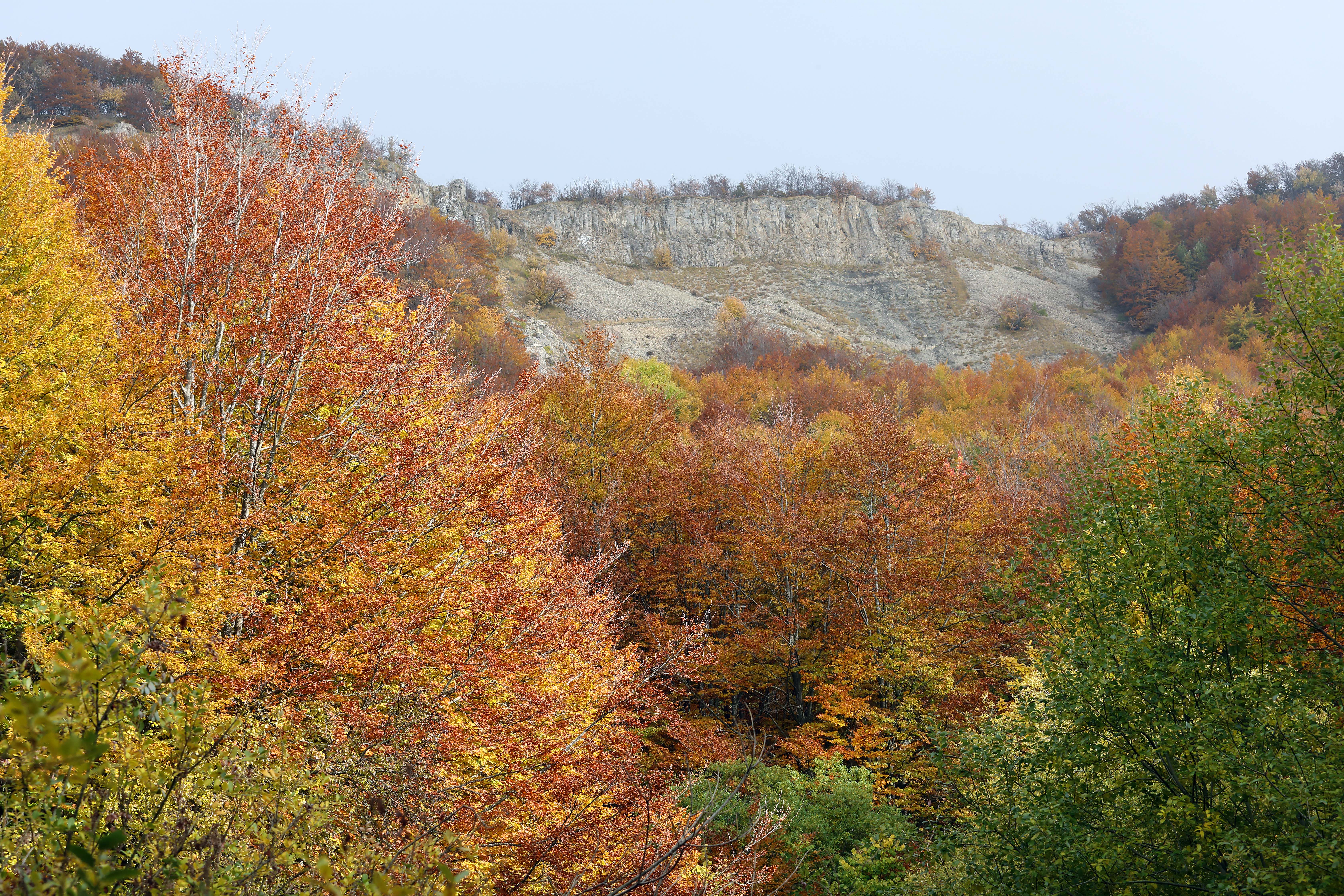 Tizzano Val Parma (Pr). Parco dei Cento Laghi - Gli affioramenti sommitali del Monte Caio