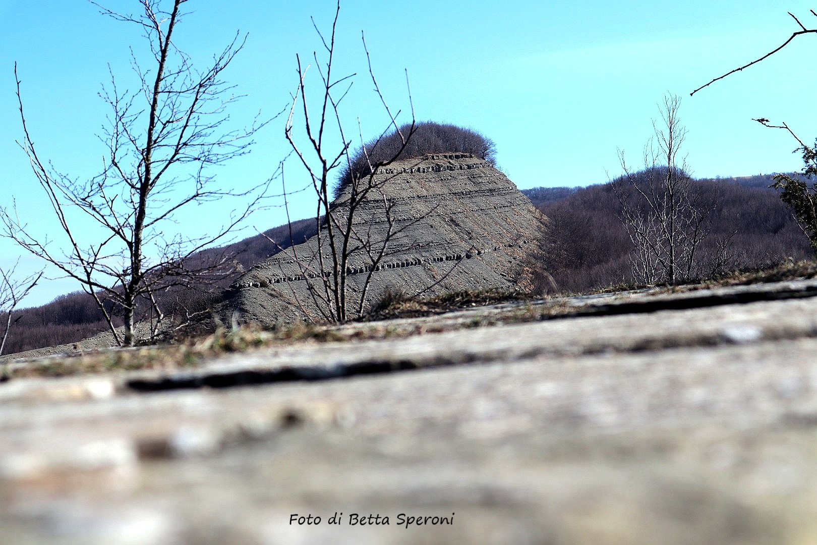 Varsi (Pr). Creste del Monte Barigazzo. Foto di Betta Speroni