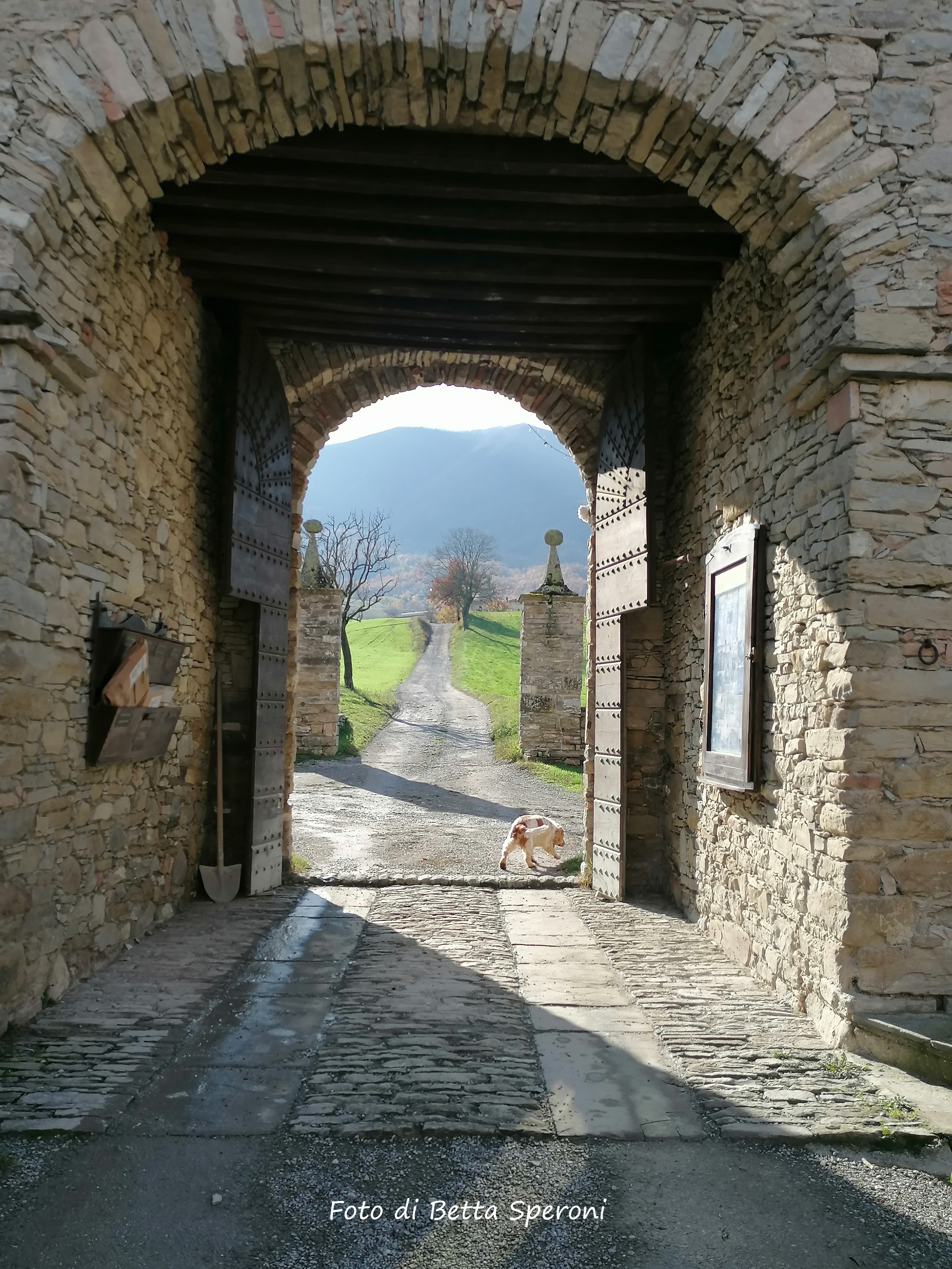 Varsi (Pr). Particolare del Castello di Golaso. Foto di Betta Speroni