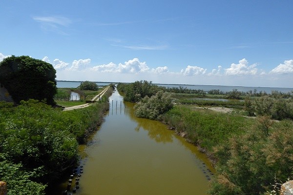 Valli del Comacchio (Ravenna)
