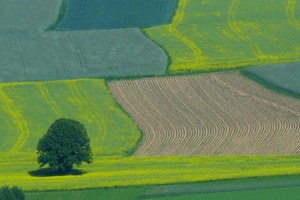Valori Agricoli Medi delle regioni agrarie dell'Emilia-Romagna 2021